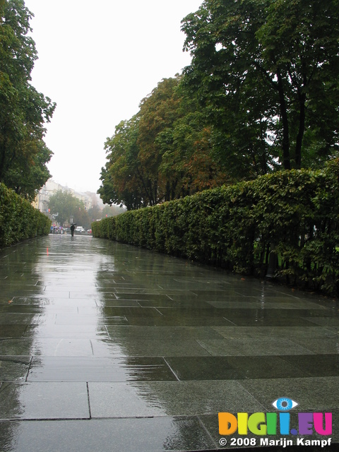 28308 Lonely pedestrian on wet streets